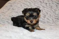 processed/a341247d-d4e3-4bef-afae-65e5b4307e05/facility/b89929d3-aa12-4857-bae9-21e96df8b8da