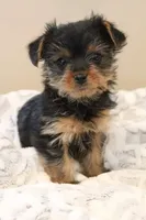 processed/a341247d-d4e3-4bef-afae-65e5b4307e05/facility/f0b4be44-56af-40c3-9df5-d90a7af8eab3