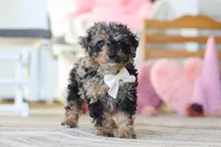 processed/a3449e5b-fcfc-436f-9ef1-d04a1abc71c8/listing/3c4806b0-4b2b-4372-a3f9-daaab03bf0eb/959ea1c8-1431-49d6-aa62-a1c7c86cfcdb