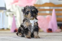 processed/a3449e5b-fcfc-436f-9ef1-d04a1abc71c8/listing/3c4806b0-4b2b-4372-a3f9-daaab03bf0eb/d32c8b38-463e-45a4-a939-394b8bb14428