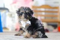 processed/a3449e5b-fcfc-436f-9ef1-d04a1abc71c8/listing/3c4806b0-4b2b-4372-a3f9-daaab03bf0eb/ed89d235-fd18-40ae-a338-5f4c0284e141