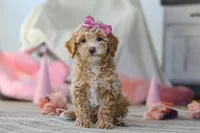 processed/a3449e5b-fcfc-436f-9ef1-d04a1abc71c8/listing/774450a9-21f7-4423-8019-9f2cc3ec54e2/02c94ea4-b06b-4386-aa58-fae7fbbff44f