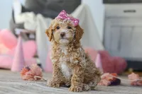 processed/a3449e5b-fcfc-436f-9ef1-d04a1abc71c8/listing/774450a9-21f7-4423-8019-9f2cc3ec54e2/7ca3c231-5799-49d9-bd3a-82a0ae2cacb3