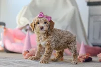 processed/a3449e5b-fcfc-436f-9ef1-d04a1abc71c8/listing/774450a9-21f7-4423-8019-9f2cc3ec54e2/bed378f2-dd43-478e-8408-15637e862197