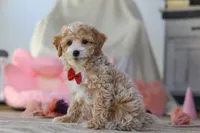 processed/a3449e5b-fcfc-436f-9ef1-d04a1abc71c8/listing/b47b80bc-b139-45ff-a67e-116fe2d9b2f2/538fa8d6-7171-4766-b2d8-ce7604bf2070