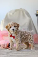 processed/a3449e5b-fcfc-436f-9ef1-d04a1abc71c8/listing/b47b80bc-b139-45ff-a67e-116fe2d9b2f2/561679d0-94f2-4c81-9dca-c8253ed7ac62