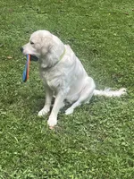 processed/a345484d-c234-43ff-9fdf-d7cdc285bcf1/facility/74612241-e1fa-4ad3-ade4-2f1cd481693e