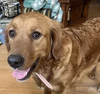 processed/a345484d-c234-43ff-9fdf-d7cdc285bcf1/facility/db4cc7d3-7632-4c84-a1e5-3c9fc1eb1fef