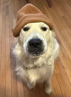 processed/a345484d-c234-43ff-9fdf-d7cdc285bcf1/facility/fae86444-ff71-45a9-911b-c3186de7217f