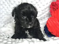 processed/a34618e0-7a36-47f2-a59e-6cbeaa32032a/listing/2441376d-e5a9-4bf9-8866-afbe5e79de0e/02ec23f1-90f3-42a2-a334-911823f4bf41