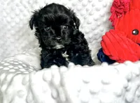 processed/a34618e0-7a36-47f2-a59e-6cbeaa32032a/listing/2441376d-e5a9-4bf9-8866-afbe5e79de0e/35f3fbbd-bb5a-496b-a7de-11b045b49643