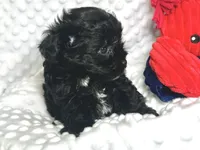 processed/a34618e0-7a36-47f2-a59e-6cbeaa32032a/listing/2441376d-e5a9-4bf9-8866-afbe5e79de0e/4623cbfd-a878-4a6f-987c-fbe4e611c582