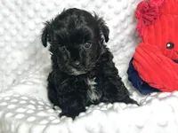 processed/a34618e0-7a36-47f2-a59e-6cbeaa32032a/listing/2441376d-e5a9-4bf9-8866-afbe5e79de0e/9913d644-0b6c-4fc3-8cd9-3daccb30aedf