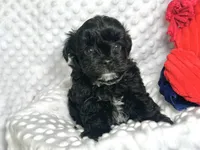 processed/a34618e0-7a36-47f2-a59e-6cbeaa32032a/listing/2441376d-e5a9-4bf9-8866-afbe5e79de0e/c6ef2e9f-76f2-486c-9630-90e1328e75eb