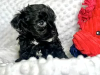 processed/a34618e0-7a36-47f2-a59e-6cbeaa32032a/listing/2441376d-e5a9-4bf9-8866-afbe5e79de0e/d41967cf-b9d4-4a32-bd64-d45a87f7f544