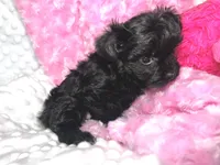 processed/a34618e0-7a36-47f2-a59e-6cbeaa32032a/listing/74ca5fa9-d95d-4a33-8d1c-4a2bc01e58e7/3ad273ea-8674-4993-a4f6-8e1a0ac5a72a