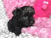 processed/a34618e0-7a36-47f2-a59e-6cbeaa32032a/listing/74ca5fa9-d95d-4a33-8d1c-4a2bc01e58e7/468da3e4-14fc-4a5c-8c8e-28134b3b66e7