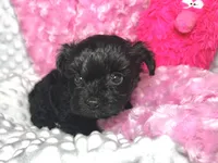 processed/a34618e0-7a36-47f2-a59e-6cbeaa32032a/listing/74ca5fa9-d95d-4a33-8d1c-4a2bc01e58e7/d8e332b2-592d-43ab-8bce-b1e5dea12b99