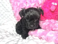 processed/a34618e0-7a36-47f2-a59e-6cbeaa32032a/listing/74ca5fa9-d95d-4a33-8d1c-4a2bc01e58e7/e5763b50-9450-4cae-8896-8bd71a9bc97c