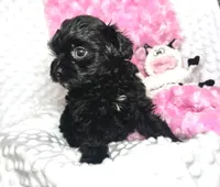 processed/a34618e0-7a36-47f2-a59e-6cbeaa32032a/listing/ba59b6f1-d3ac-4a1b-8dac-29688d3070d8/39427aed-796b-4edc-b337-838ad8ed1a42