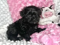 processed/a34618e0-7a36-47f2-a59e-6cbeaa32032a/listing/ba59b6f1-d3ac-4a1b-8dac-29688d3070d8/9f95da03-a102-410c-b48c-8345310d9327