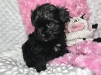 processed/a34618e0-7a36-47f2-a59e-6cbeaa32032a/listing/ba59b6f1-d3ac-4a1b-8dac-29688d3070d8/ffcbb489-6d4e-4662-afbf-5cec87a5159c