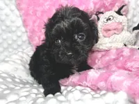 processed/a34618e0-7a36-47f2-a59e-6cbeaa32032a/listing/e266e133-df28-461b-a8cc-a9333f26f453/02673621-d6cb-41a1-9196-9f2fbc999922