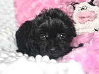 processed/a34618e0-7a36-47f2-a59e-6cbeaa32032a/listing/e266e133-df28-461b-a8cc-a9333f26f453/bb180d90-4e5d-41ab-80cc-a52df453abb4