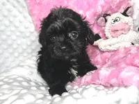 processed/a34618e0-7a36-47f2-a59e-6cbeaa32032a/listing/e266e133-df28-461b-a8cc-a9333f26f453/f1740d00-47a2-40e2-b291-3b9d7802ce96