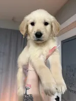 processed/a34ddaa9-b065-47e2-a827-248a8daeee96/facility/0336f5f4-75b9-4ab8-baf6-b275ae234ae7