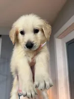 processed/a34ddaa9-b065-47e2-a827-248a8daeee96/facility/ee68a7dd-0e1b-4124-af63-1df140cc4d44