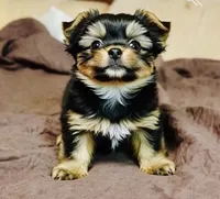 processed/a351de81-3c8e-49d6-906c-633b884be10a/listing/78d139a2-09ca-45d6-a40b-11a1915bc9e9/1327a9b5-a4f7-4892-bf53-ad7fdf0a5abb