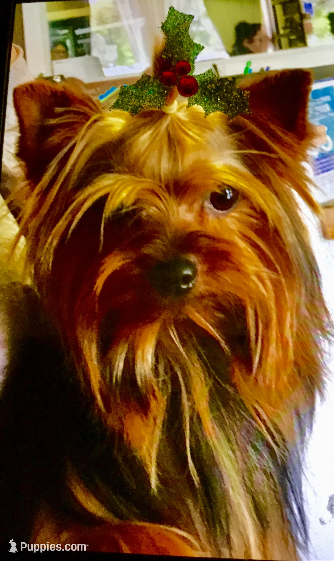 processed/a351de81-3c8e-49d6-906c-633b884be10a/listing/78d139a2-09ca-45d6-a40b-11a1915bc9e9/3388b7cb-fb60-4715-9d98-d7379f3d8ca0