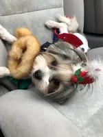 processed/a351de81-3c8e-49d6-906c-633b884be10a/listing/78d139a2-09ca-45d6-a40b-11a1915bc9e9/4a43c82a-123c-41e6-93b7-ac16ea8263f2