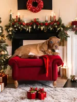 processed/a354621b-5b44-48e2-ad77-ef59690039a9/listing/1e9dab28-7167-4015-9e04-51f45dfc61d3/0e949971-0955-442d-8210-85f585e39f22