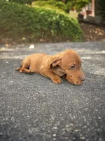 processed/a354621b-5b44-48e2-ad77-ef59690039a9/listing/1e9dab28-7167-4015-9e04-51f45dfc61d3/7df8808e-7e5a-49bb-8ab4-085f2ee078fe