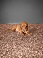 processed/a354621b-5b44-48e2-ad77-ef59690039a9/listing/1e9dab28-7167-4015-9e04-51f45dfc61d3/9428b64c-2185-4de9-a852-fee4e9d80921