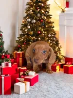 processed/a354621b-5b44-48e2-ad77-ef59690039a9/listing/1e9dab28-7167-4015-9e04-51f45dfc61d3/f48215d8-e85c-41a9-b5f3-733621d2d852