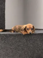 processed/a354621b-5b44-48e2-ad77-ef59690039a9/listing/670f1968-42b6-448c-8c33-11a82fffeef5/84705d3a-75c9-4310-87c5-6d0c4663497b