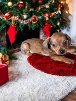 processed/a354621b-5b44-48e2-ad77-ef59690039a9/listing/670f1968-42b6-448c-8c33-11a82fffeef5/87445302-bb5a-459d-9eba-57adf46f7210