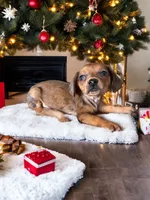 processed/a354621b-5b44-48e2-ad77-ef59690039a9/listing/670f1968-42b6-448c-8c33-11a82fffeef5/df5a72dc-d4a4-4587-96f4-10d448f28bca