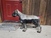 processed/a35a2ed6-9736-4065-b3ad-0224a3c50a5d/listing/90d068a5-6591-4c77-b9a4-b3b37b5abfe1/2861c03a-3ca5-4f3a-882e-438b8c0466d1