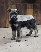 processed/a35a2ed6-9736-4065-b3ad-0224a3c50a5d/listing/90d068a5-6591-4c77-b9a4-b3b37b5abfe1/444ae10b-d81b-4c42-bf89-7759a959cd1b