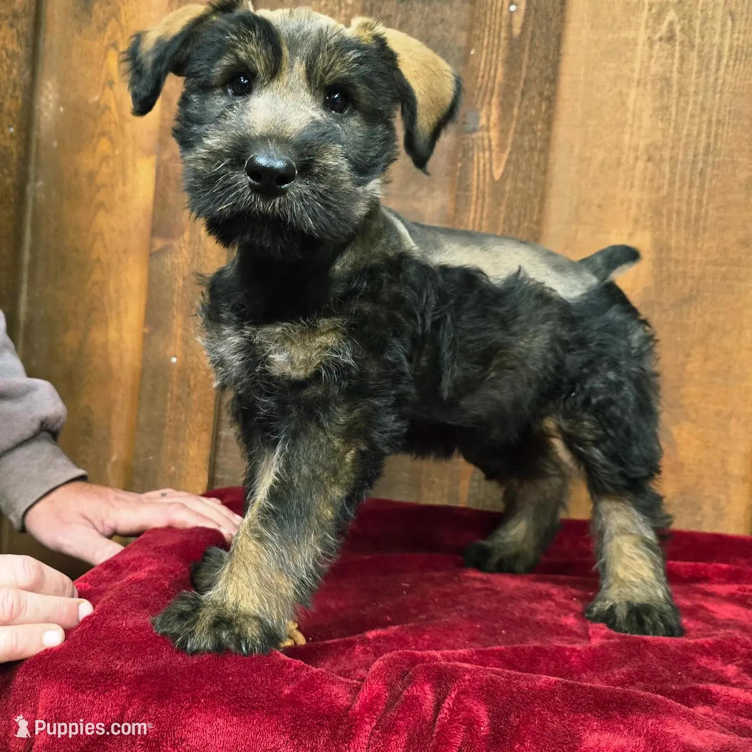 processed/a35a2ed6-9736-4065-b3ad-0224a3c50a5d/listing/90d068a5-6591-4c77-b9a4-b3b37b5abfe1/92b6f3b7-b342-4a64-93bd-10cf30a00b45