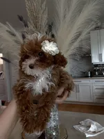 TINY TEACUP, a female Poodle - Toy  for sale in Spring Hill, FL – Photo 4 of 4