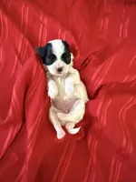 processed/a366d4be-0535-42c1-8fdd-0e391656d06a/listing/8916f4ea-e670-4ad2-a47d-f84e994e81b6/ae2c1927-cc2f-4096-b1ad-a885274d3785