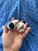 processed/a366d4be-0535-42c1-8fdd-0e391656d06a/listing/8916f4ea-e670-4ad2-a47d-f84e994e81b6/bc3ade3b-9dcc-4023-acc1-ba74ececa16a