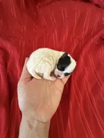 processed/a366d4be-0535-42c1-8fdd-0e391656d06a/listing/8916f4ea-e670-4ad2-a47d-f84e994e81b6/ca348490-6483-4e93-9783-595bac8c5e63