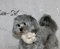 processed/a366d4be-0535-42c1-8fdd-0e391656d06a/listing/8916f4ea-e670-4ad2-a47d-f84e994e81b6/e0f73f59-c16b-44c7-ad31-213333201319