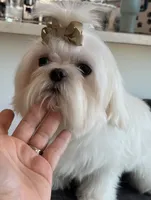 processed/a366d4be-0535-42c1-8fdd-0e391656d06a/listing/8916f4ea-e670-4ad2-a47d-f84e994e81b6/f13869f2-ff94-479d-8f52-6bf13080b125